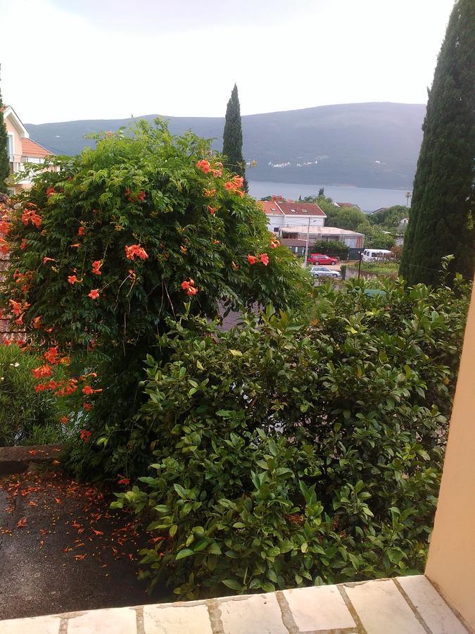 Hotel Sobe Baosici Marina Herceg Novi Exterior foto